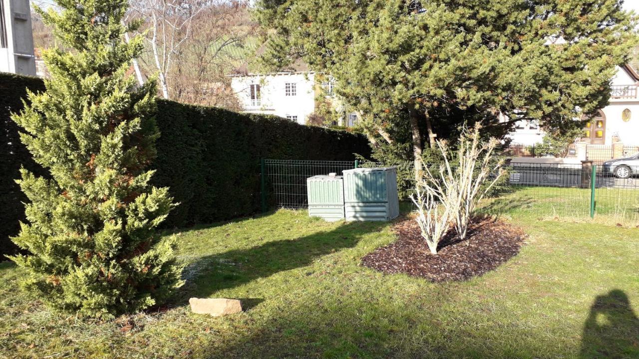 Villa/Appartement Au Coeur Des Vignes *** Barr Exterior foto